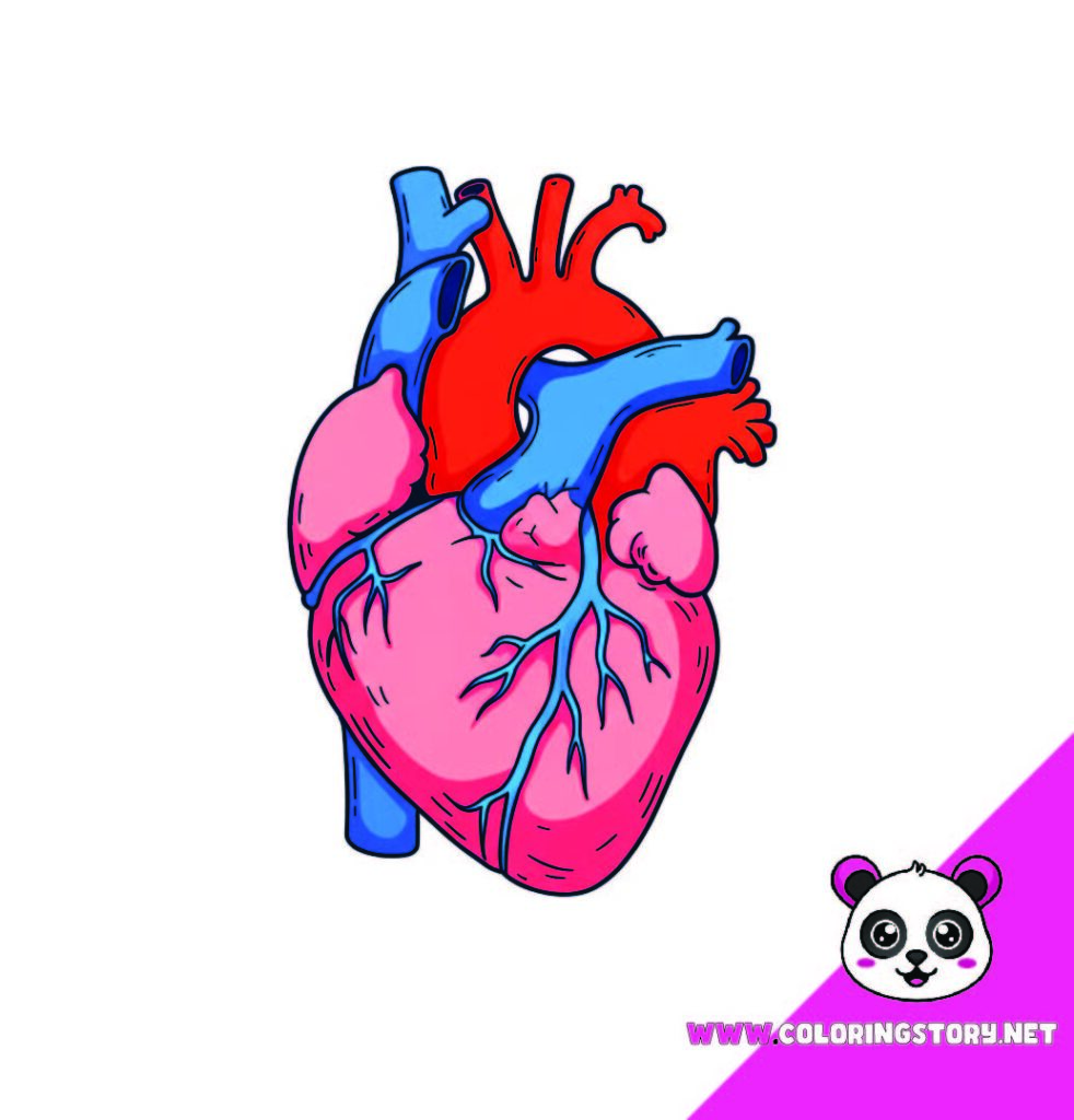 Medical Coloring Book 238000