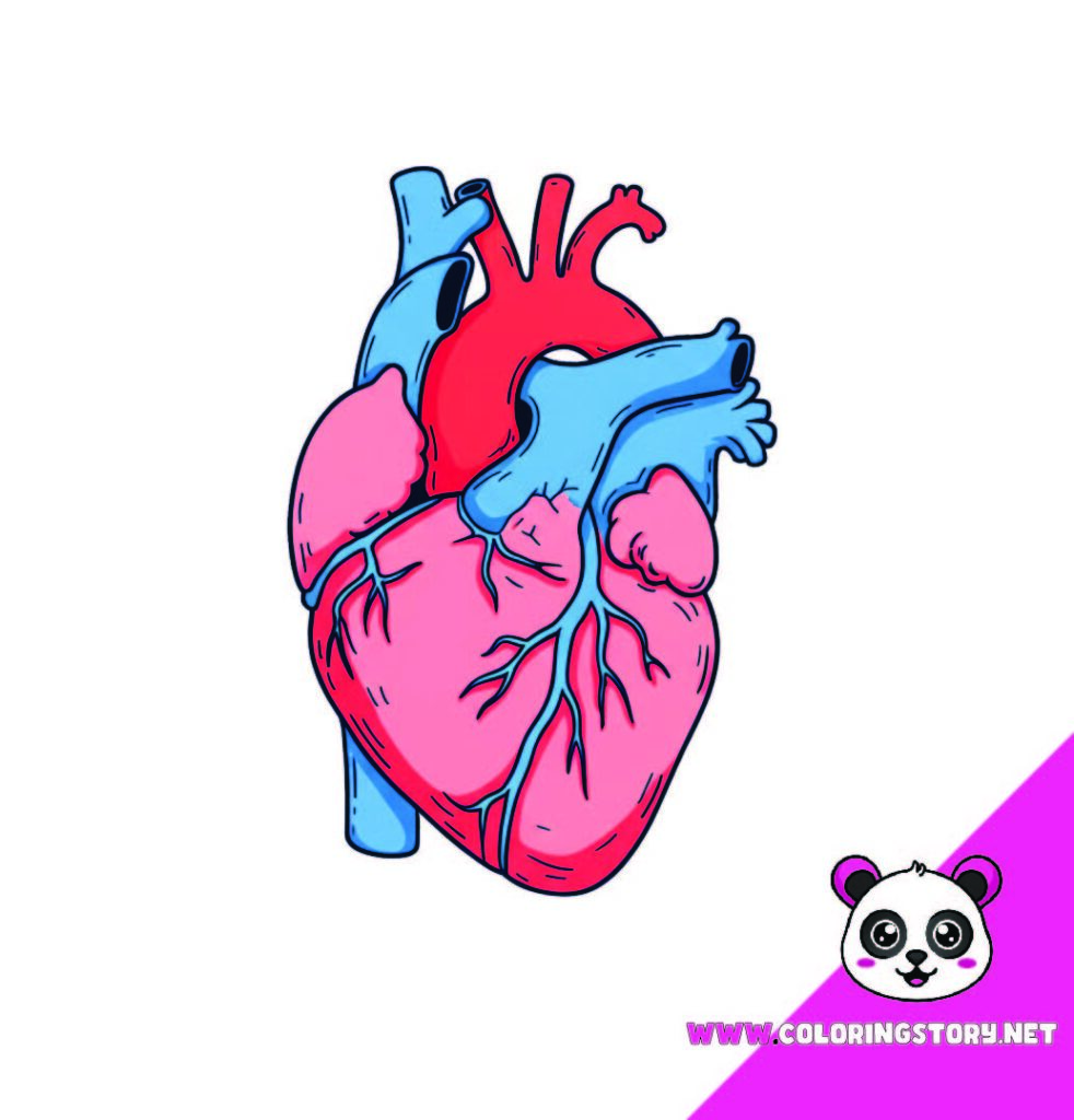 Medical Coloring Book 239000