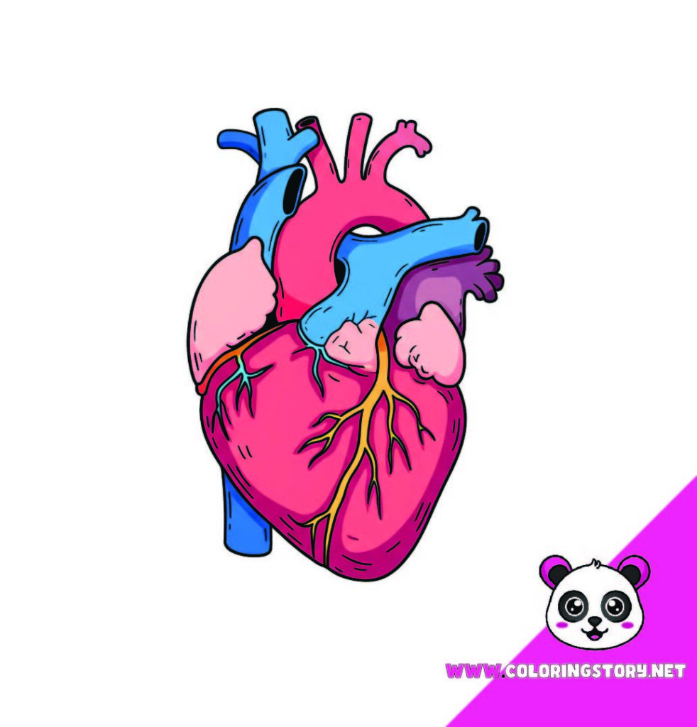 Medical Coloring Book 240000