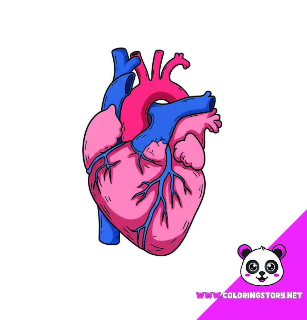 Medical Coloring Book 241000
