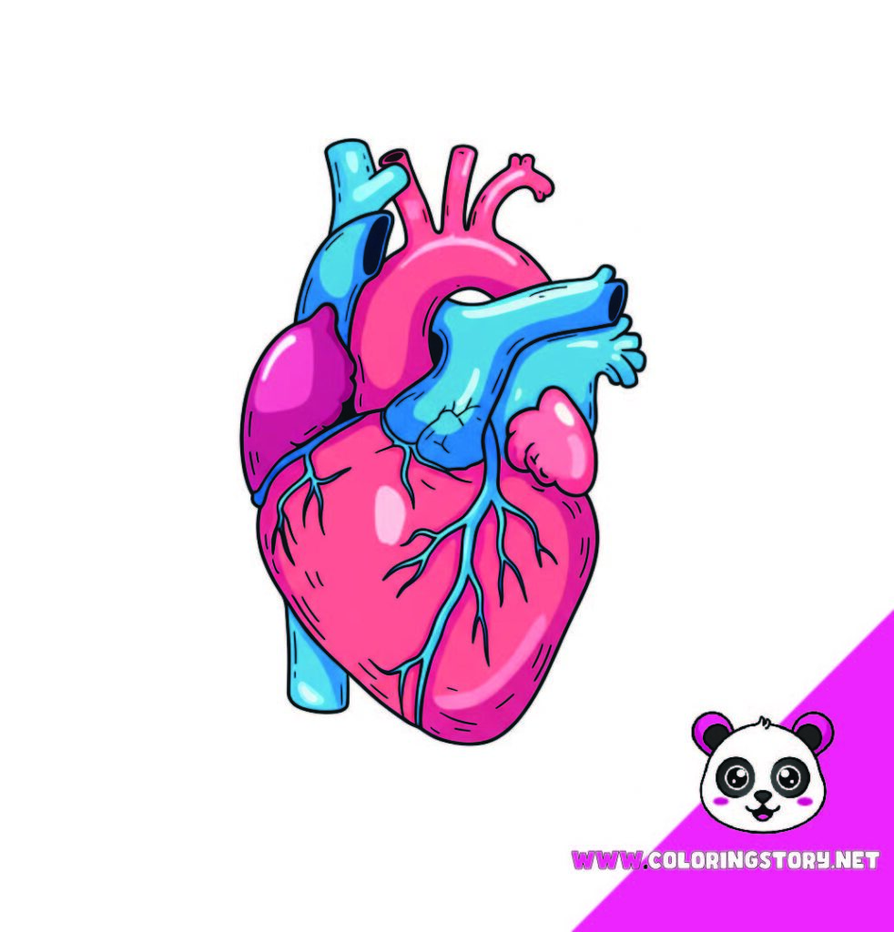 Medical Coloring Book 242000