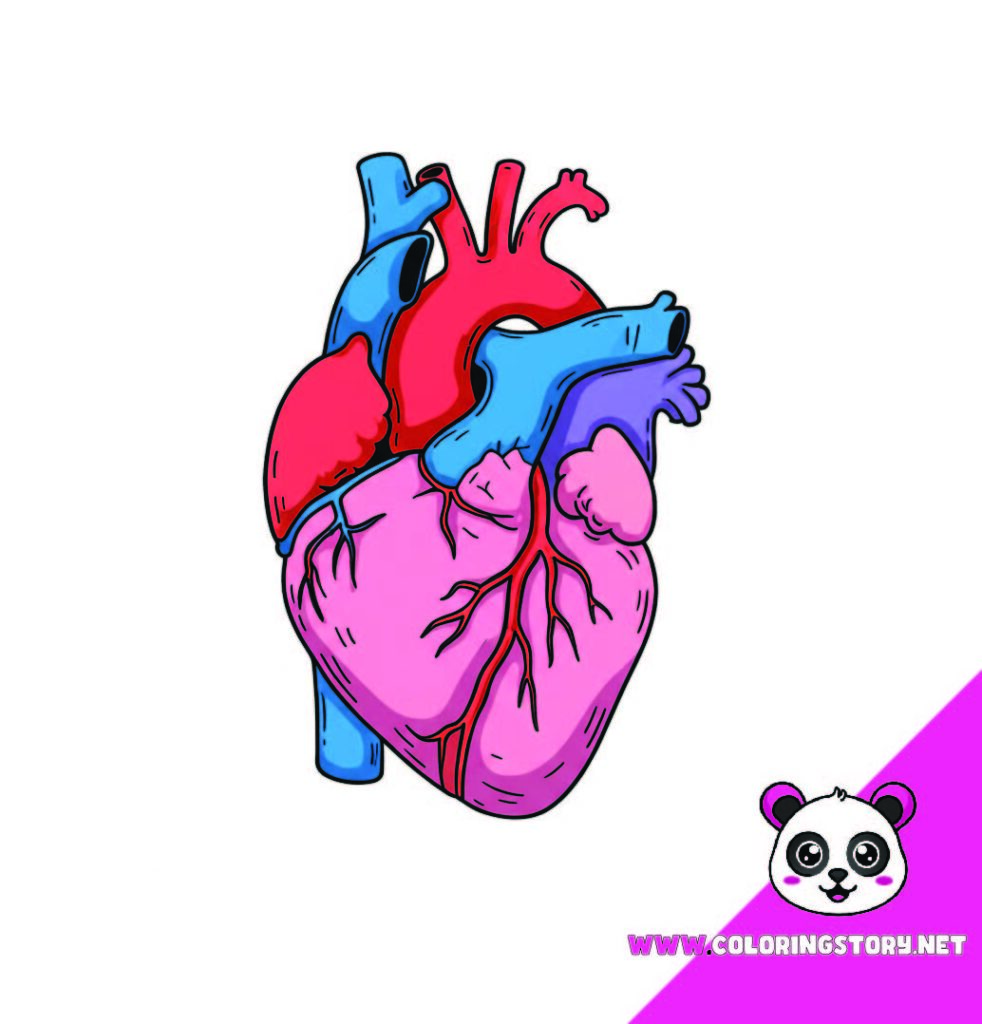 Medical Coloring Book 243000